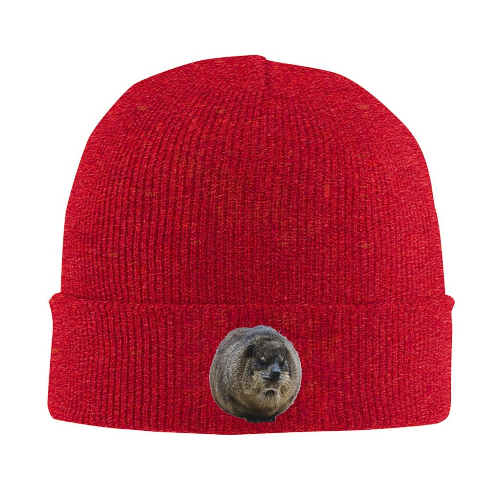 Hyrax Coquette or Croquette Warm Knitted Cap Winter Knit Bonnet Hat Skullies Beanies Hip Hop Caps for Unisex