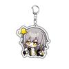 Acrylic Keychains Honkai Star Rail Tingyun Elysia Asta Herta Jing Yuan March 7th Yanqing Key Chain A String Bag Backpack Pendant