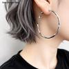 Sterling Silver S925 Mobius Hoop Earrings - Stylish, Versatile, and Durable for Everyday Wear