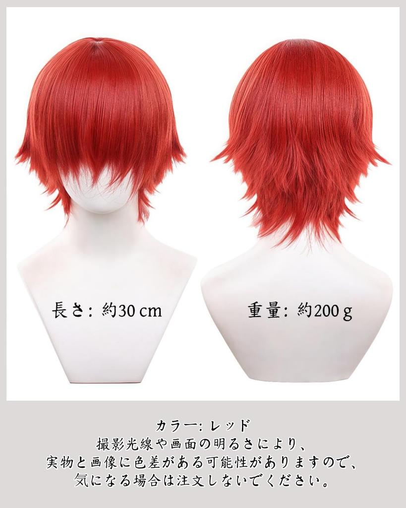 RyuuCos Full Short Straight for Men and School Cultural 01 All-Purpose Wig, Wig, Red, Heat-Resistant, Women, Cosplay, Disguise, Costume, Gift, Event,
