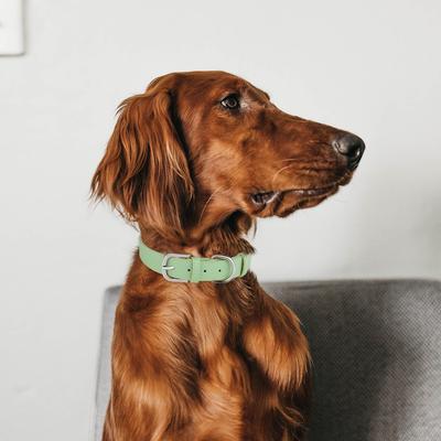 Adjustable Pet Dog Collar, Microfiber Dog Neck Ring, Dog Ring Does Not Restrain the Neck, Cute Cat Ring