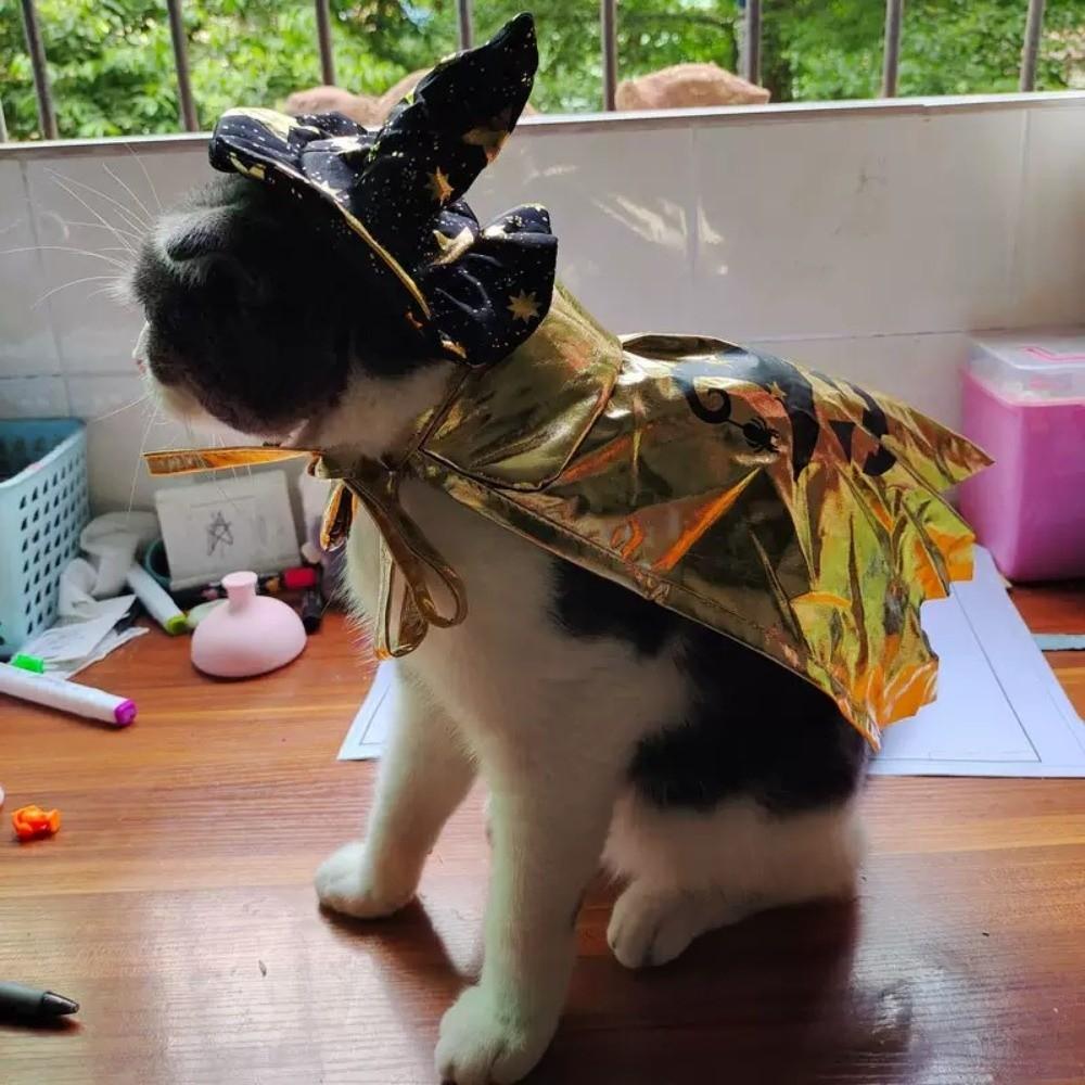 Star Halloween Pet Costume with Witch Hat Small Dog Knight Cape Funny Cat Cosplay Cloak  Festival
