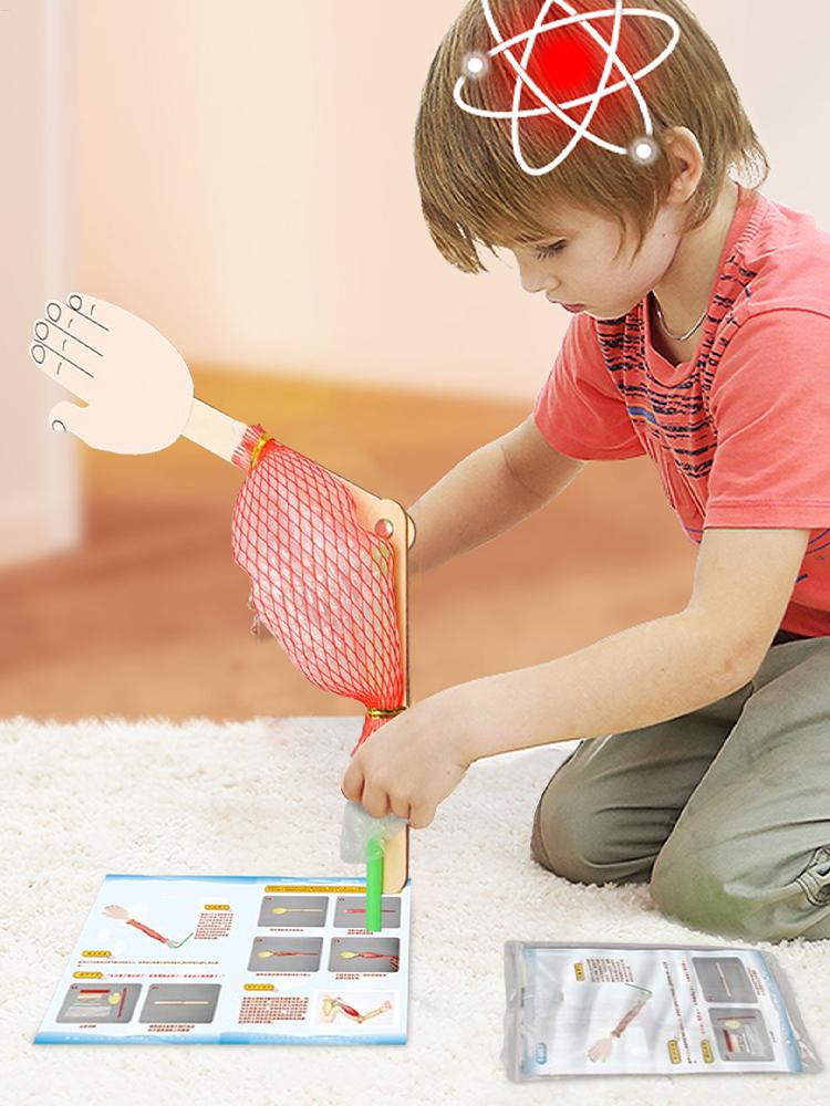 Biological Experiment Kit Interactive Science Project Toy Science Experiment Toys for Kids Learning Science Early Education Toys