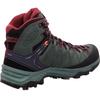 Треккинговые ботинки Salewa Alp Trainer 2 Mid GTX