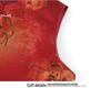 Plus Size Floral Two-Tone Stand Collar Vest for Middle-Aged and Elderly Women - Spring & Autumn Style
