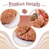 Human Model 9 Size Educational Tool Teaching Aid for Learning Science Display Study