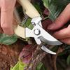 Pruning Knives Fruit Tree Garden Branch Cutting Household Grafting Tools Stainless Steel Scissors For Flower Cutting Arrangement