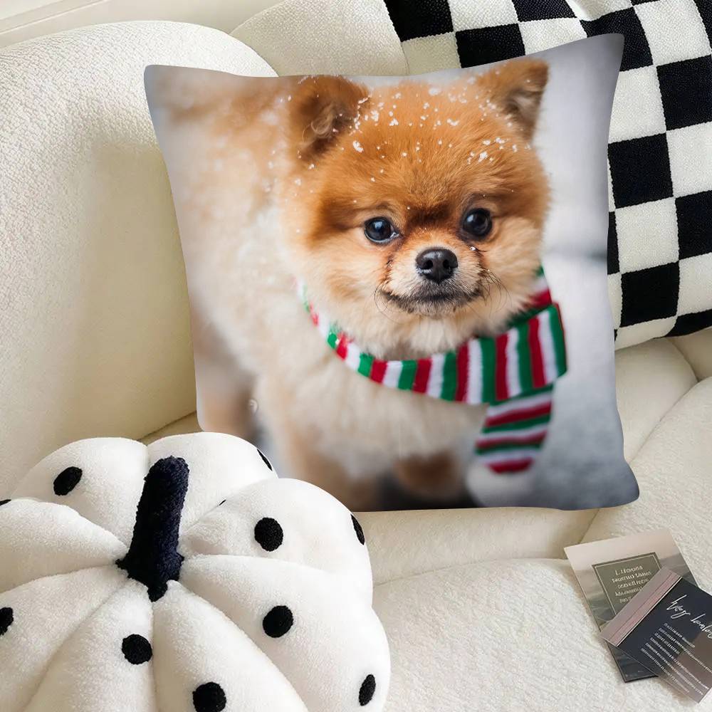 Poszewka na poduszkę dla psa rasy szpic miniaturowy Modna kwadratowa poszewka na poduszkę Sypialnia Sofa Pokój Dekoracja Ins Wypoczynek
