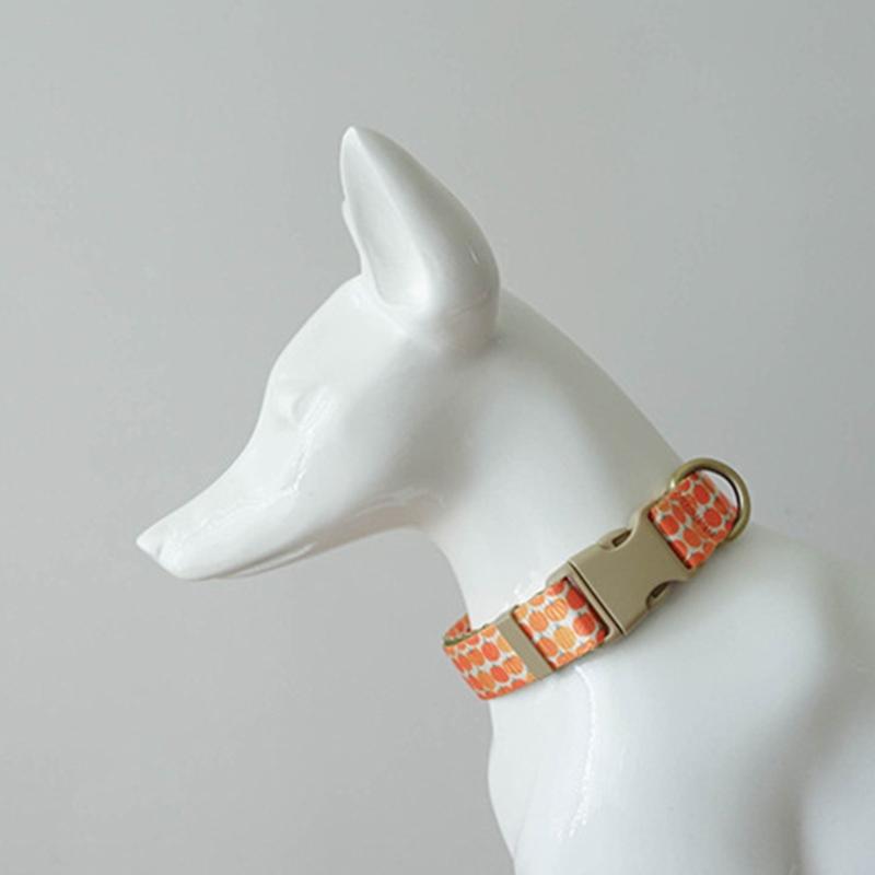 Dog Lovely Pumpkin Collar Leash Comfortable Dog Collar Leash for Medium Dogs Leash Harvest Theme Leash
