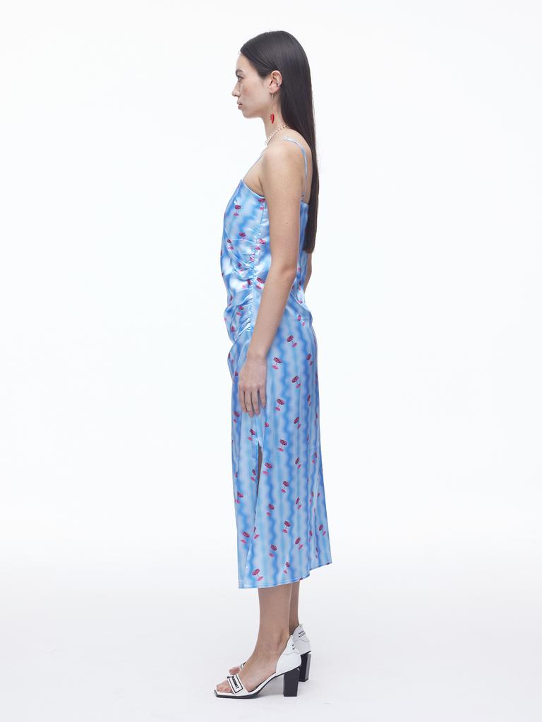 Dilettantism Cocktail Shirred Long Dress
