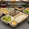 Nuoxian Biodegradable Divided Pulp Lunch Boxes