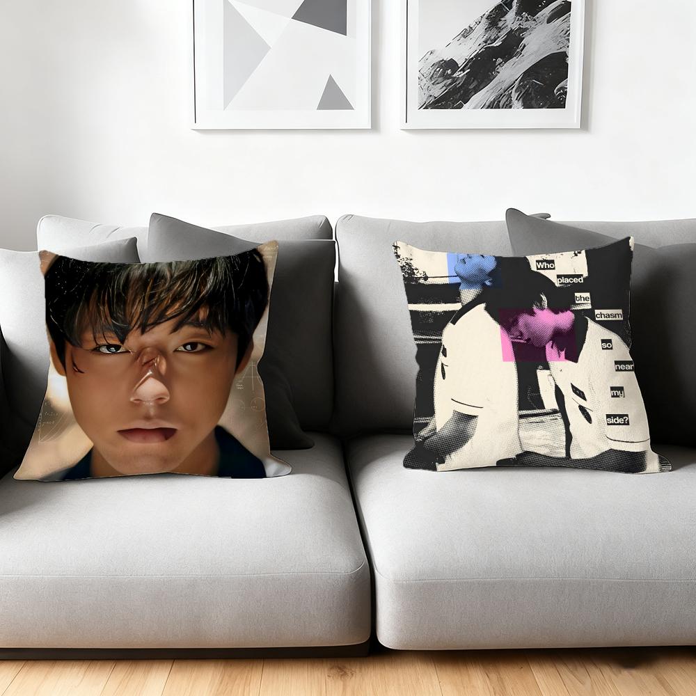 Cushion Cover Silky Short Plush Home Sofa Cushion Cover - Invisible Zipper Home Decoration WeakHero TV Series