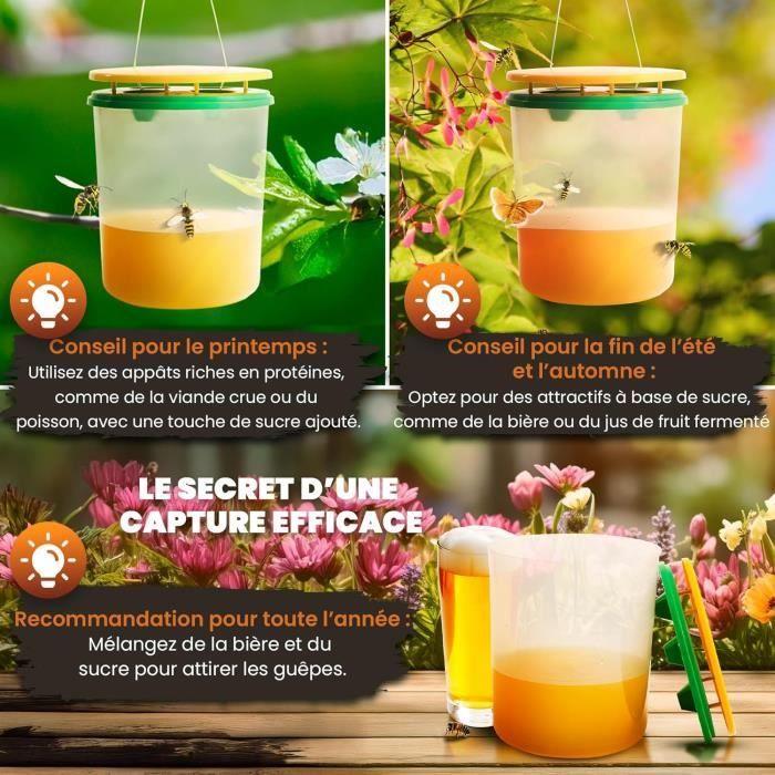 Miceco 2x pièges à guêpes professionnels grande taille - piège à frelon asiatique