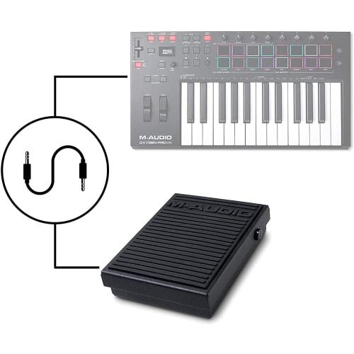 M-Audio SP-1 Pedal Switch for Digital Pianos and Keyboards