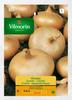 Onion Seeds Virtues