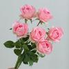 5Pcs/lot Moisturizing Rose Real Touch Artificial Flowers Wedding Decor Realistic Roses Flowers Home Room Decoration Party Floral