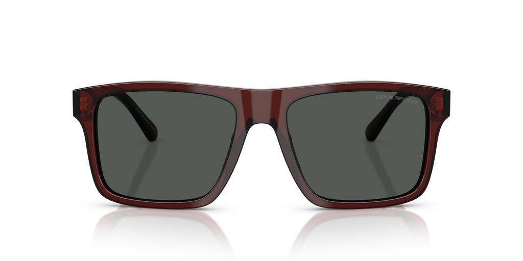 Sunglasses 0EA4232F TRANSPARENT BROWN 57 [Emporio Armani]