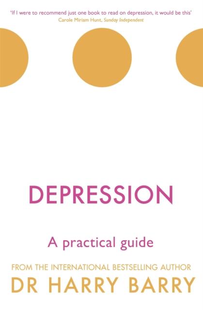 The Depression : A Practical Guide Book