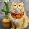 Cat Clothing Cat Costume New Year Costume for Cat Chinese New Year Cat Outfit Cute Pet Clothes Gifts Pet Decorations