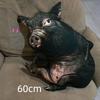 3D Printed Pig Stuffed Plush Pillow Realistic Soft Skin Friendly Fabric Cute Cushion for Sofa Bed Holiday Gift for Kids
