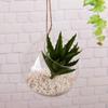 Hanging Glass Propagation Station Clear Terrarium Planter for Flowers Air Hydroponic Plants Small Indoor Flower Vase for Home Room Window Office Decor