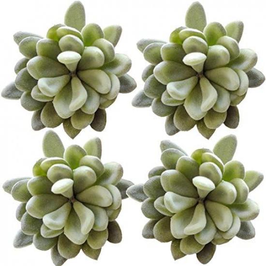 Tyoungg 4 Pack Flocked Green Artificial Succulent Cactus Plants Echeveria Unpotted Long Stem for Wreath Making Wedding Bouquet Making 3.33”Wide X