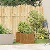 VidaXL Jardinière rouillé 40x80x40 cm acier inoxydable, pot de fleurs, support de plantes, lit surélevé, support de 860737