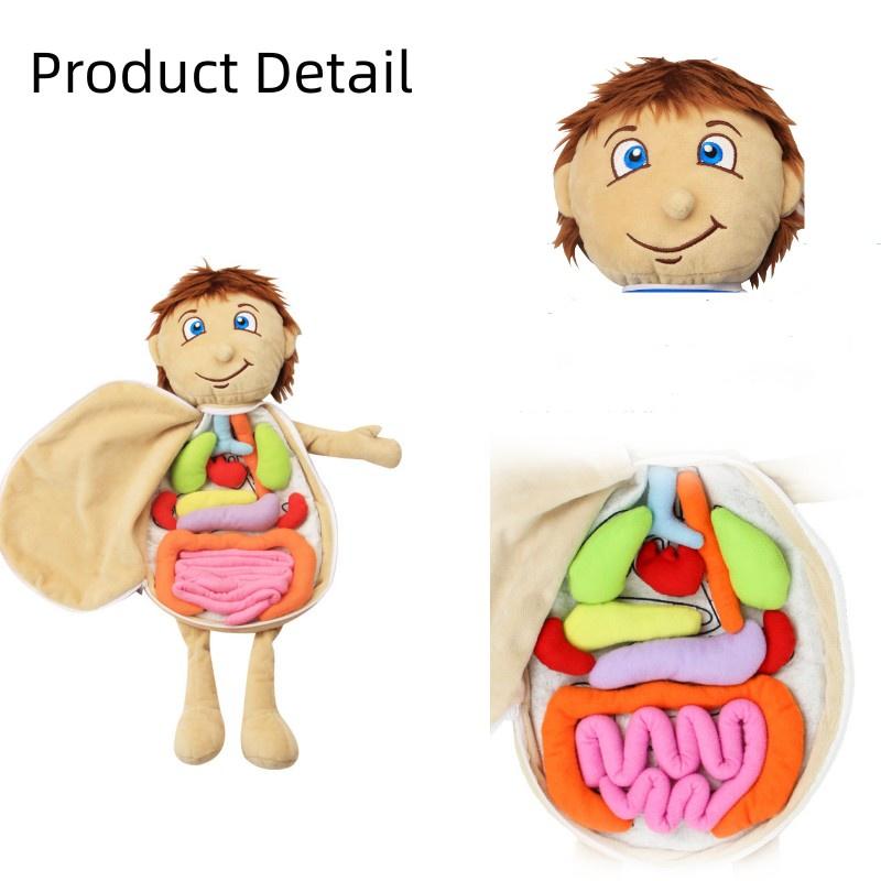 Children Cognitive Human Organ Body Structure Puzzle Plush Early Toys Education