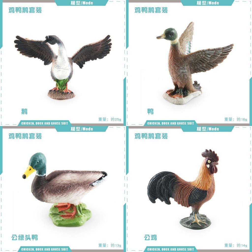 Detailed Pvc Models Of Farm Poultry Ducks Geese Roosters And Hens For Educational Play