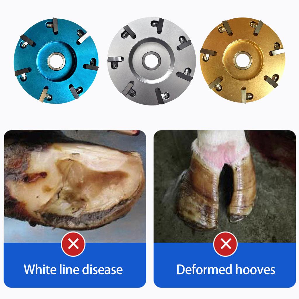 Nutztier Hufschneidscheibe Elektrisch Aluminium für Nutztier Schaf Rind Pferde Hufschneidscheibe Platte Ersatz