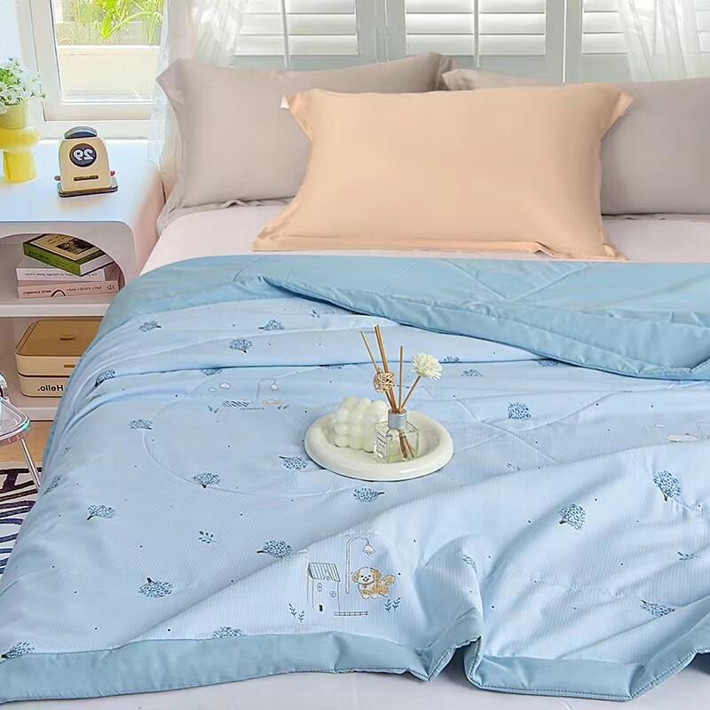 

Roman Roland Small Bamboo Cotton Summer Quilt