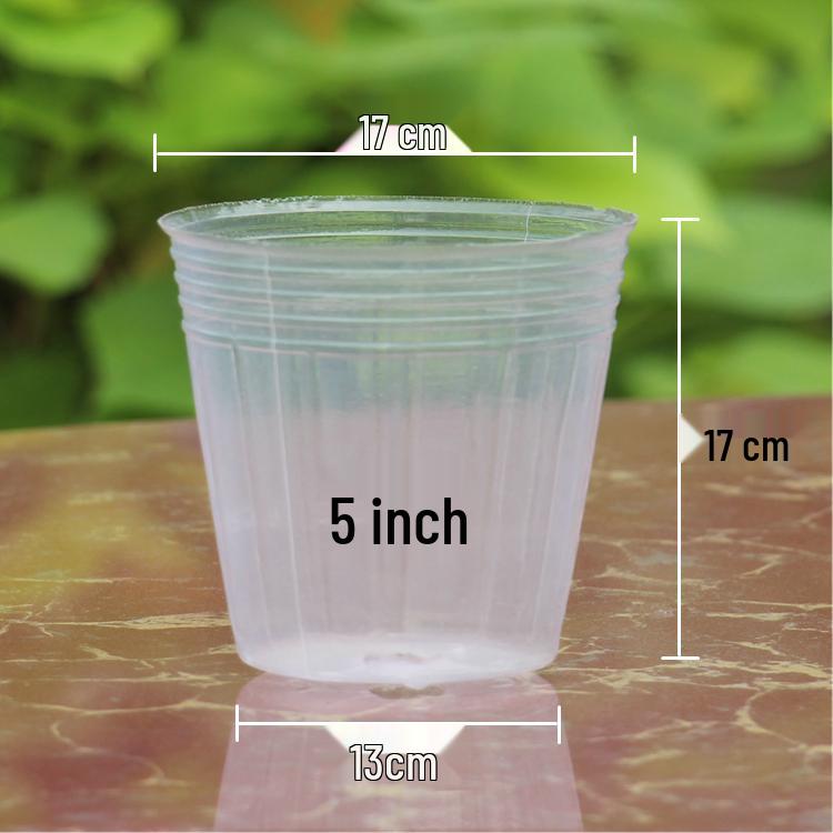 Translucent Plastic Phalaenopsis Planting Pots – 2.5", 3.5", 4" Sizes