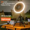 10000mAh Smart Camping Fan Rechargeable Desktop Portable Wireless Ceiling Electric Fan with Power Bank LED Lighting Tripod Amagi
