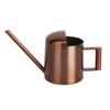 Long Spout Watering Can Small Indoor Plants Watering Cans Mini Water Can Stainless Steel Irrigation Pot Gardening Accessories