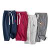 2024 Children's Dinosaur Sports Pants - Boys' Autumn Trousers