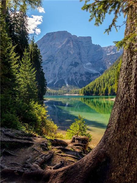 

Полная круглая алмазная картина Пейзаж Дерево Алмазная вышивка Продажа Река Приморский стразы Мозаика Декорция Full Round 20x25CM