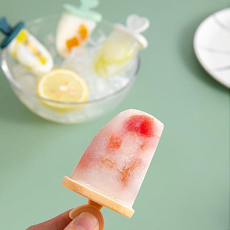 Changbaosen 10-Piece Easy-Release Ice Cream Mold Set