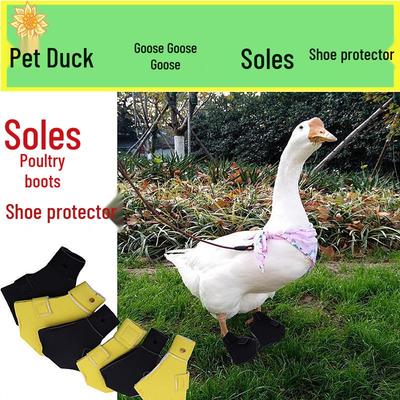 Bekleidung & Schuhe – Hundeschuhe