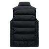 Men's Autumn And Winter Waistcoat Korean Youth Down Cotton Stand Collar Handsome Sleeveless Jacket Vest