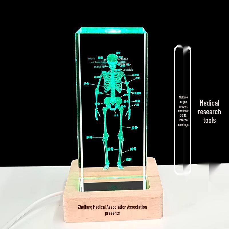 3D Carved Skeleton Brain Model Ornament - White Crystal Souvenir for Medical Students and Doctors
