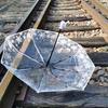 Transparenter Regenschirm für Damen, Faltbar, Sommerblumen-Stil, Weiße Göttin Internet-Berühmtheit Regenschirm, Wald-Stil Kreativer Student Automatik