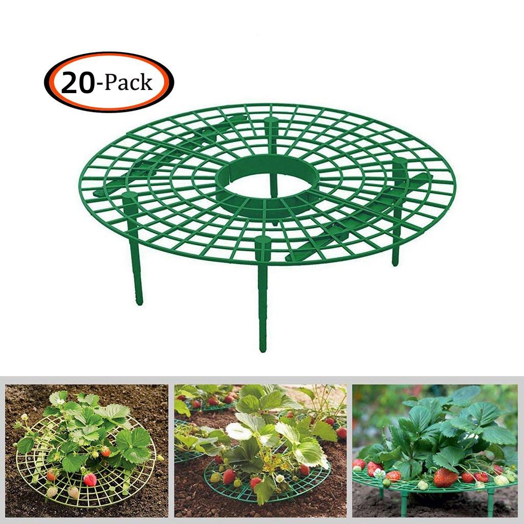 1-20 Pack Gardening Stand Strawberry Stand Frame Holder Balcony Planting Rack Fruit Support Plant Flower Climbing Vine Pillar