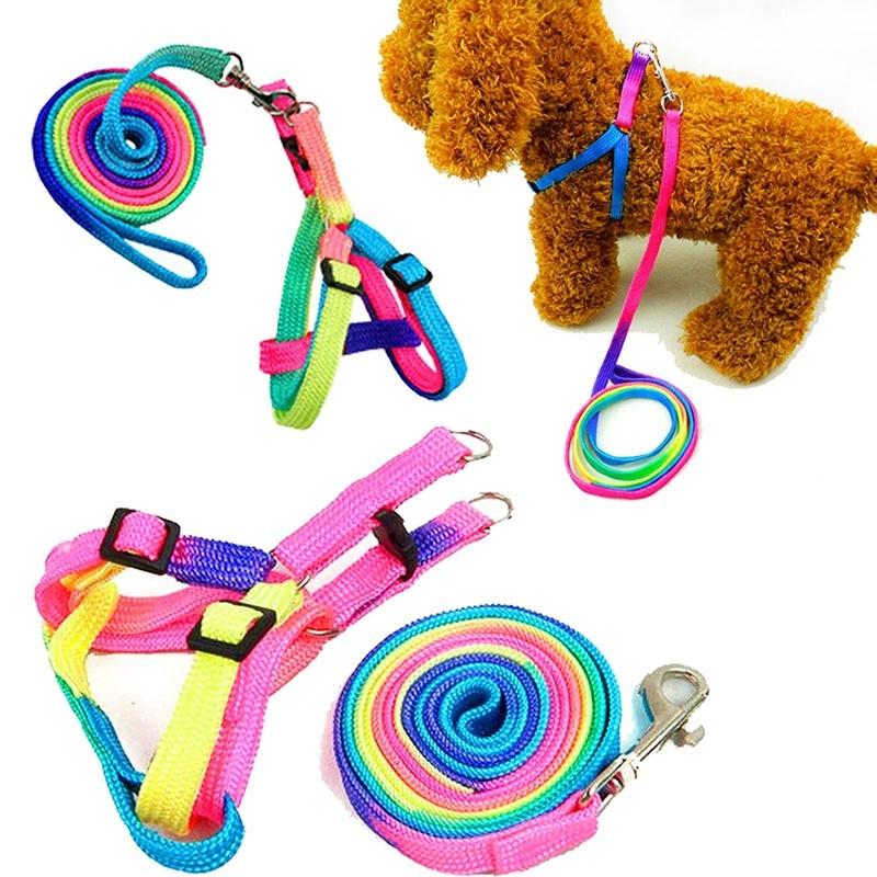 Buy Pet Dog Puppy Matching Collar And Lead Set Leash Adjustable at