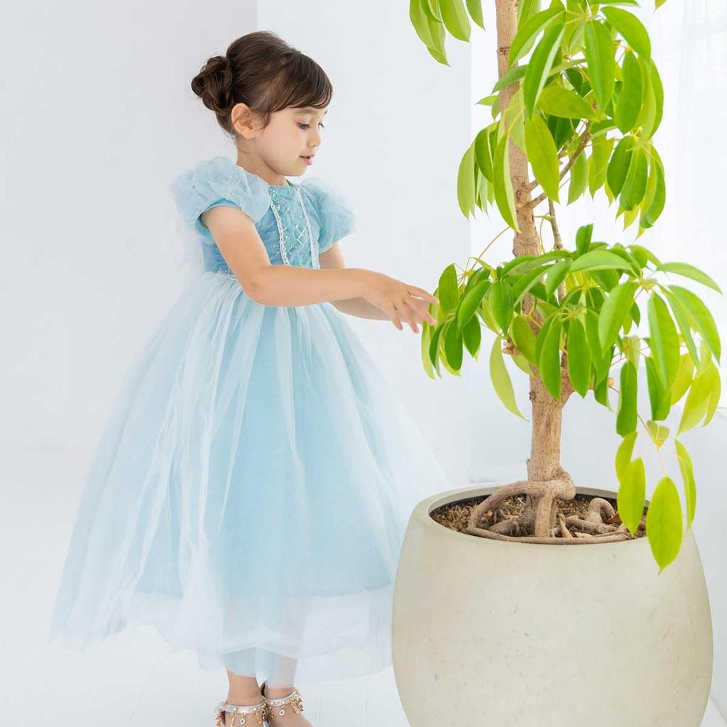 Monoii Princess Dress, Snow Queen Costume for Kids, Halloween, Christmas, Birthday, Girls, E0300 (Short Sleeves, 120cm)