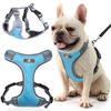 ASTRO Blue Training Harness for Walking Dogs, Size