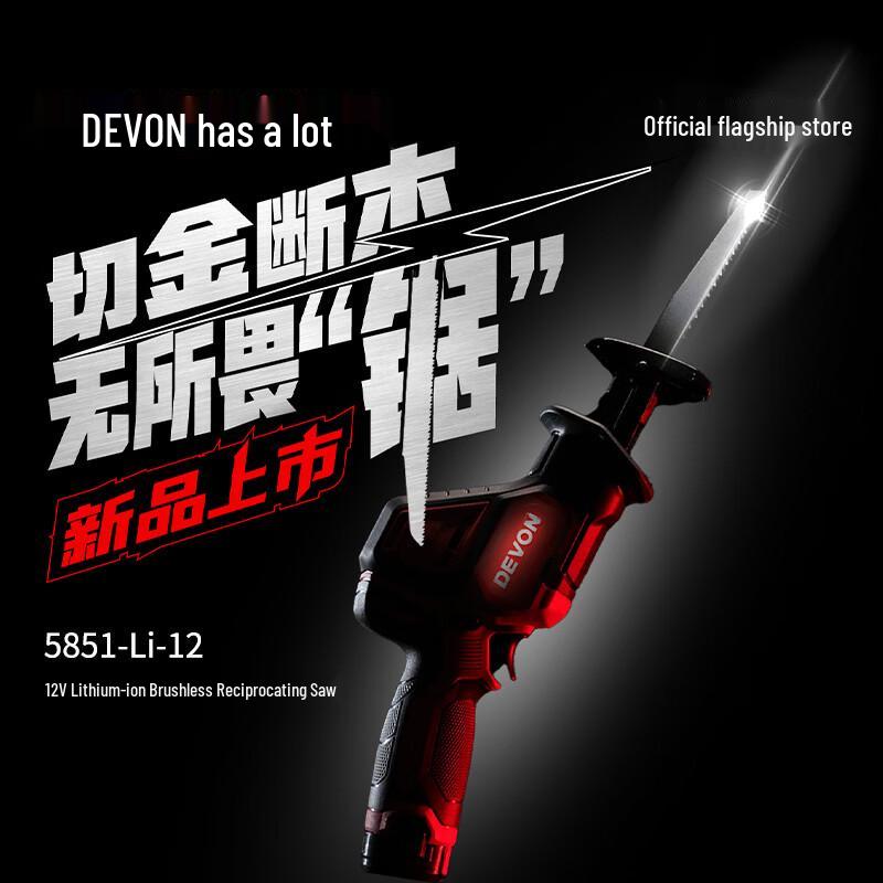 Dayou 12V Cordless Reciprocating Saw CN plug (adapter included)