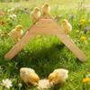 Detachable Wooden Poultry Roosting Ramp With Triangular Design Easy to Clean Chicken Coops