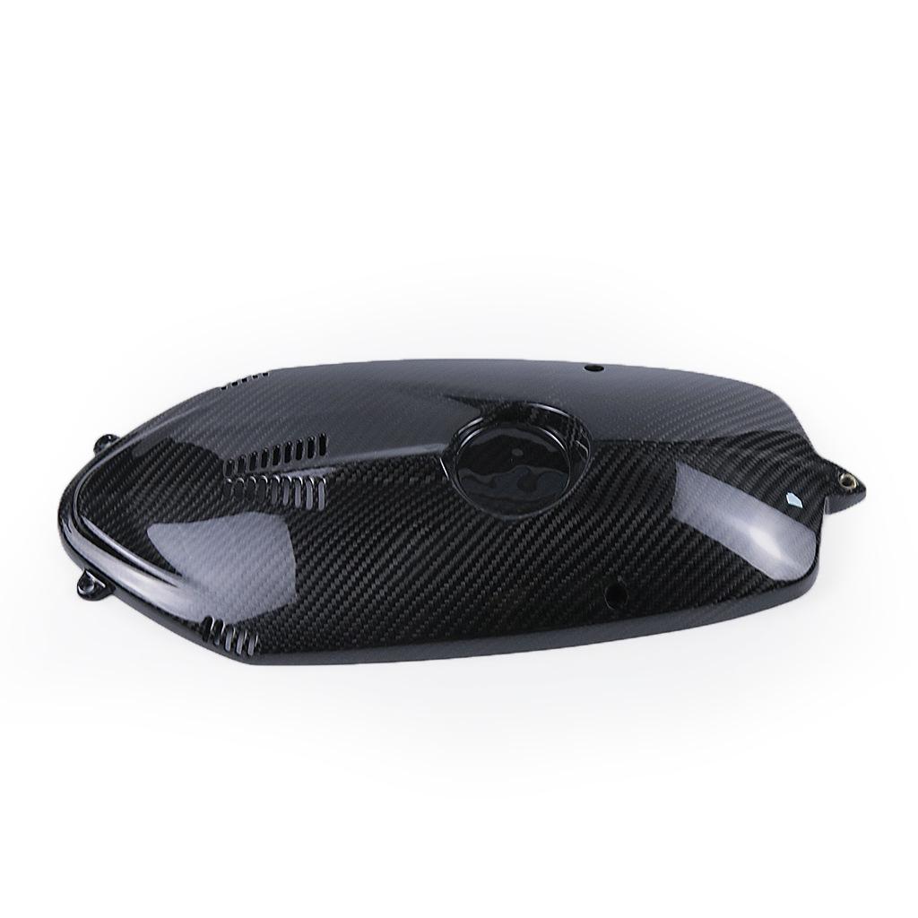BMW R Nine T (2015-2016) Carbon Fiber Engine & Water Cooler Cover