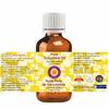 Deve Herbes Pure Cucumber Oil (Cucumis Sativus) | Cold Pressed | Natural | Undiluted | For Diluting Essential Oils | For Skin & Massage | Men & Wom