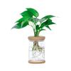 1Pc Transparent Hydroponic Vase Plastic Vase Simple Style Plant Flower Pot Flower Arrangement Home Decoration Tabletop Ornament